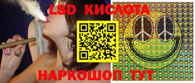 гидра Будённовск