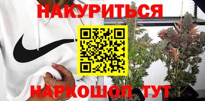гидра Будённовск